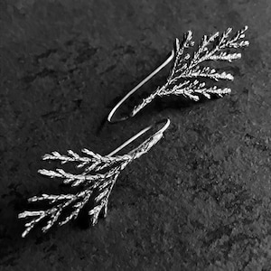 May include: A pair of silver-toned earrings. Each earring features a detailed, branch-like design with delicate, textured leaves. The earrings have a hook closure and are displayed against a dark, textured background.