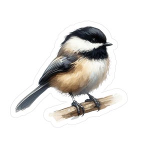 Black-capped Chickadee Decal: Nature Lover Gift, Birding Sticker