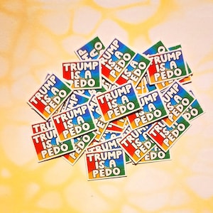 READ DESCRIPTION* Mini Trump is a P*do Stickers | Anti-Trump Confetti Stickers| Protest Mini Sticker Pack