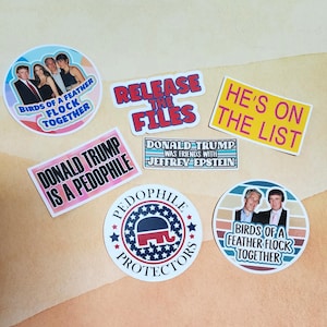 Political Sticker Pack | Anti-Trump, Anti-GOP, Epstein Awareness Stickers | Waterproof Vinyl | Political Protest Stickers