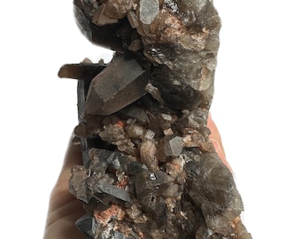 May include: A large cluster of smoky quartz crystals with a dark brown to black color. The crystals are clustered together in a rough, natural formation.