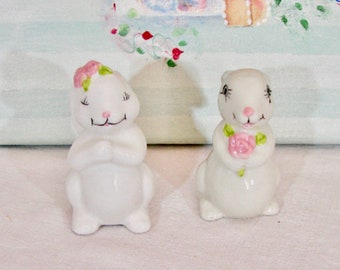 White Bunny with Pink Flowers Salt & Pepper Shakers