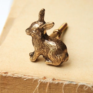 May include: A detailed brass rabbit figurine, seated with ears perked, attached to a stem. The bunny is on a vintage book, showcasing its textured fur and overall antique aesthetic. The figurine is likely a decorative item or a bottle stopper.