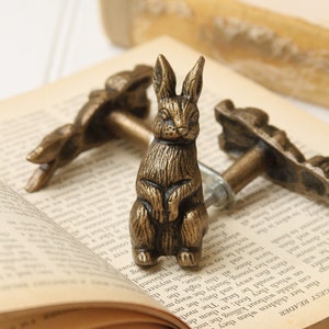 May include: A pair of antique-style brass drawer pulls featuring a rabbit design. The pulls are attached to a book with a vintage feel.