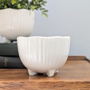 May include: A small, white ceramic planter with a ribbed design and three small feet. The planter has a scalloped rim and is sitting on a wooden surface. Another similar planter is visible in the background, with greenery.