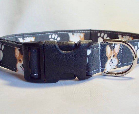 corgi dog collars