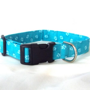 Teal Paw Prints Collar for Your Pup