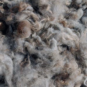 Light Rose-Grey Alpaca Fleece 1/2 Lb. - Skirted/Washed