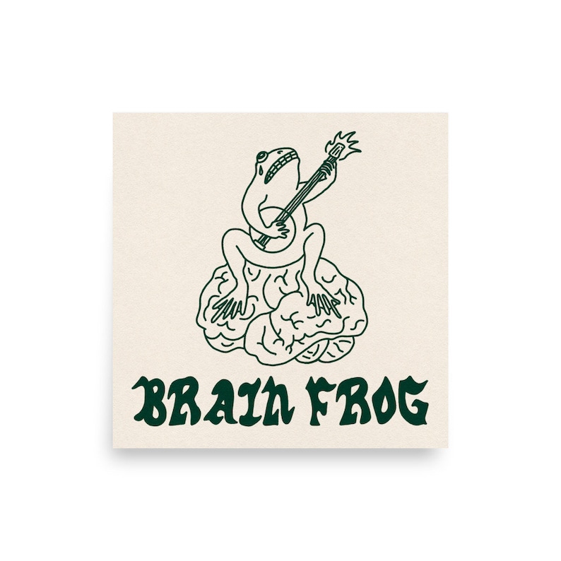 Brain Frog Pin. Overthinking Frog Poster. ADHD OCD Mental Health Banjo Frog Illustration Wall Art. Brain Fog.