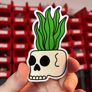 Snake plant skull sticker. Skull with plants growing sticker.