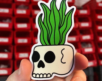 Snake plant skull sticker. Skull with plants growing sticker.
