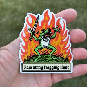 I Am at My Frogging Limit Sticker | Funny frog sticker | Mental health vinyl decal | Stress and dark humor decal.