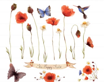 Watercolor Poppy Flower Clip Art Clipart Set Field Humming Bird Butterfly Moth Daisy Vintage Botanical Banner Science Poster Scientific