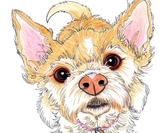 Pet Caricature Single Pet