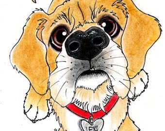 Pet Caricature Single Pet