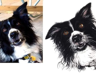 Custom Pet Portrait-Caricature