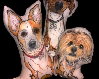 Pet Caricature/Portrait Pillows