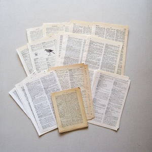 May include: A collection of vintage dictionary pages with black and white illustrations of a spider and a bird. The pages are slightly yellowed and have a worn, aged look.