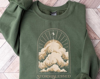 Way of Kings Shirt, Stormblessed Hoodie,, Stormlight Archive Sweatshirt, Kaladin Stormblessed TShirt, Fantasy Inspired Tee, Book Lover Tee
