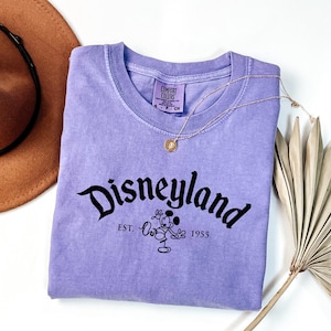 a t - shirt that says disneyland next to a hat