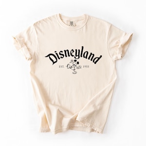 a t - shirt with the word disneyland printed on it