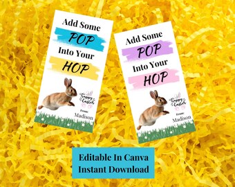 Bearbeitbare Ostern Geschenkanhänger | Frohe Ostern Leckerei Tags | Sofortiger digitaler Download | Bearbeitbar in Canva | Personalisierte Ostern Printable