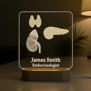 Puede incluir: Lámpara de escritorio acrílica iluminada con grabados anatómicos de tiroides, riñón y páncreas. La lámpara incluye el nombre "James Smith" y el título "Endocrinólogo". La base es de madera.