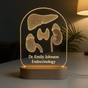 Endocrinologist Custom Night Light Endocrinology Thyroid Personalized LED Gift Doctors Graduation gift Medical Student Gift Medical Student