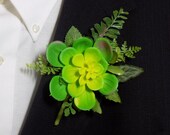Boutonniere - Artificial Succulent - Groom Boutonniere - Groomsmen Boutonniere - Prom Boutonniere