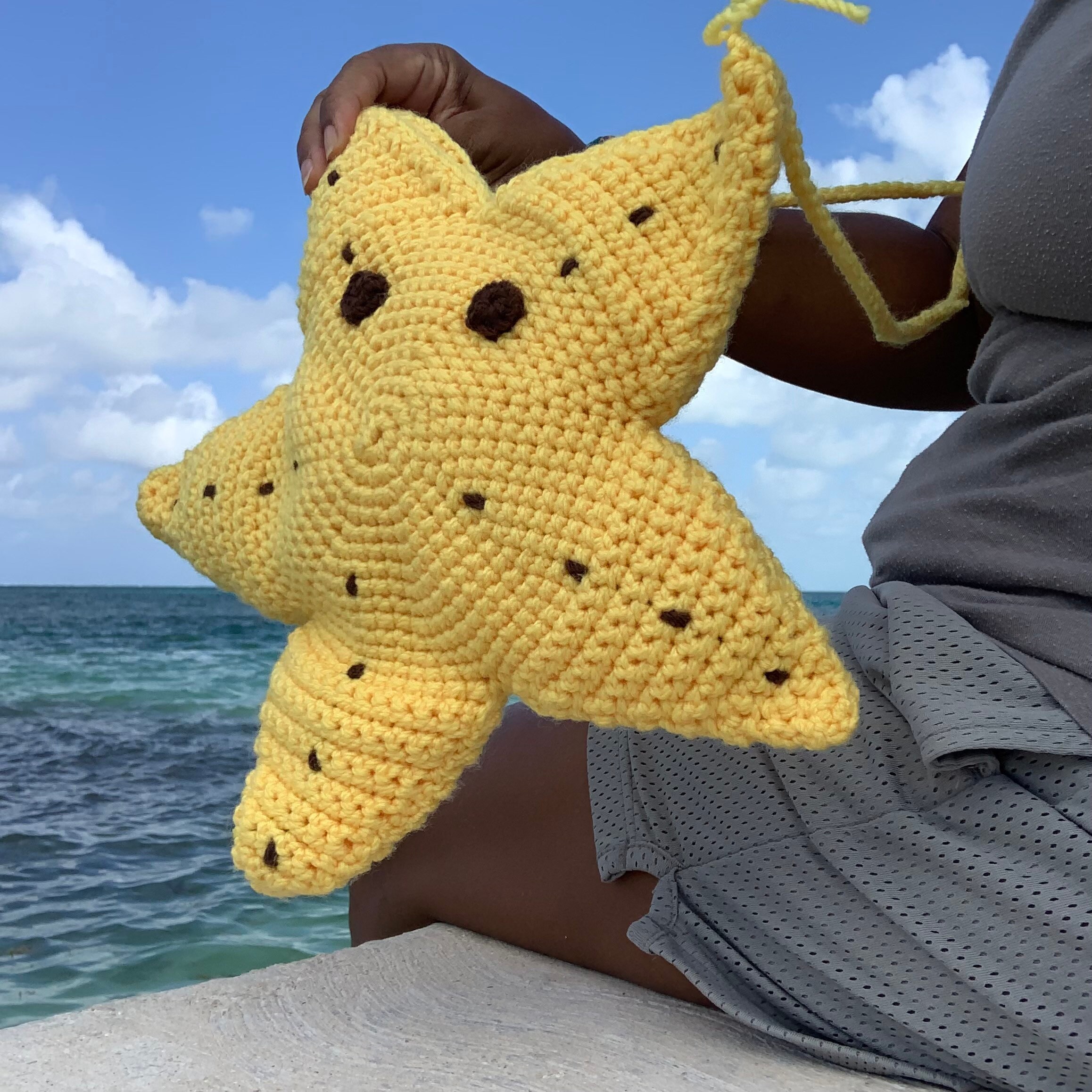 37 Starfish Crochet Patterns for Sea-Inspired Amigurumi, Plush, and Decor 31 Crochet Starfish Handbag Pattern: Belize sea creature