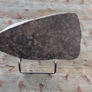 May include: A dark gray, irregularly shaped stone, possibly a sculpture or decorative piece, is displayed on a simple metal stand. The stone has a rough, textured surface with lighter gray and brown spots. The stand is a thin, silver-colored metal.
