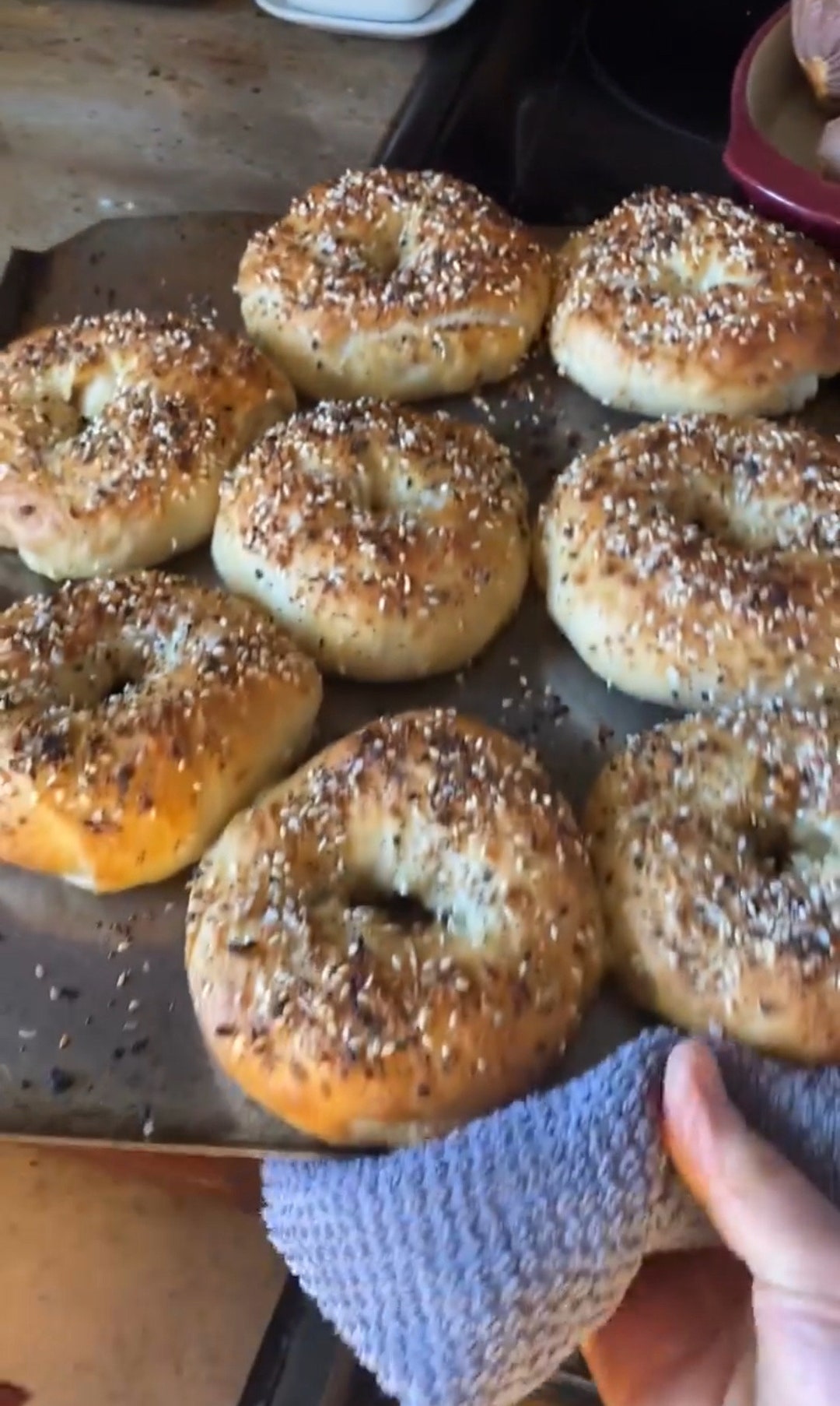 100 Yr Old Sourdough Starter From Coaching to Ensure