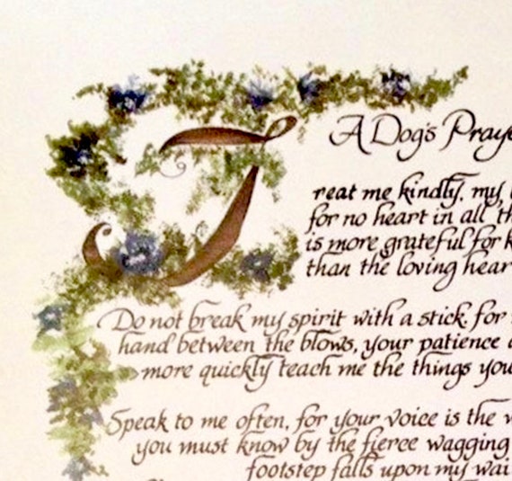 A Dog's Prayer by Beth Norman Harris: Soulful Reflections