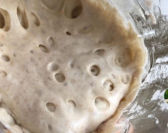 Masa madre deshidratada con entrenamiento ilimitado: variedad francesa tradicional de más de 100 años con entrenamiento.