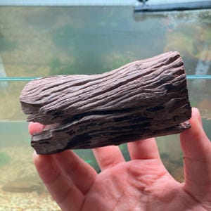 Driftwood Bonsai, Terrarium Aquarium Tank Decor, Betta Fish Moss Tree, Aquarium Plant Fish Tank, Aquarium Driftwood Moss Bonsai Tree
