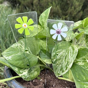 May include: Two glass flower plant stakes. One stake features a light green flower with a white and orange center. The other stake has a white flower with a purple center. Both have green stems and are set in a potted plant.