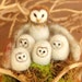 Avatar belonging to BoriDolls