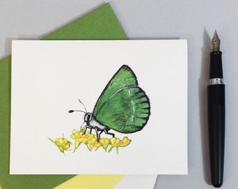 Green butterfly note card. Sheridan's green hairstreak, state butterfly of Wyoming. Natural history facts on back.