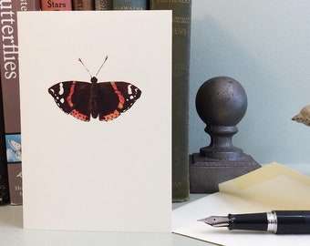 Red admiral butterfly small note card, blank inside.