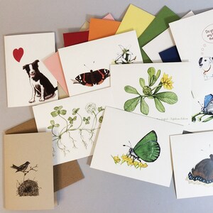 Choose your own 10 card set at a bulk discount price. All occasion cards, note cards. Add box for gift set. image 3