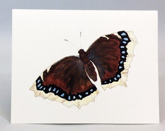 Butterfly note card. Mourning cloak butterfly watercolor painting on a blank notecard, with natural history facts on back.