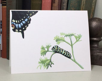 Black swallowtail butterfly note card, with caterpillar on parsley. Save the butterflies facts on back. Blank inside. Choice of envelopes.