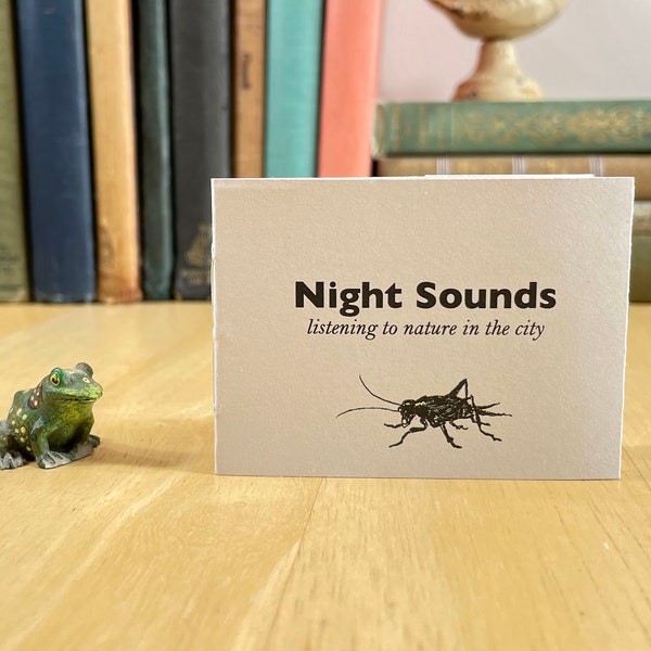 A mini zine about listening to nature on a summer night in the city, with black line drawings.