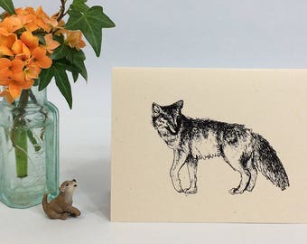 Coyote note card. Ink illustration of a coyote on recycled card. Natural history facts on the back. All occasion card, blank inside.