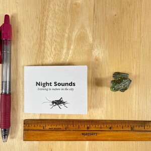A mini zine about listening to nature on a summer night in the city, with black line drawings. image 7