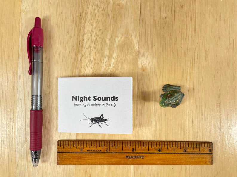 A mini zine about listening to nature on a summer night in the city, with black line drawings. image 7