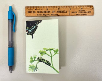 Mini notebook with caterpillar & butterfly on green cover. 48 lightly gridded pages and a pocket. All recycled. Hand sewn with linen thread.