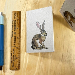 Mini notebook with jackrabbit on cover, pocket in back, and 48 lightly gridded pages. All recycled. Hand sewn with linen thread. image 8