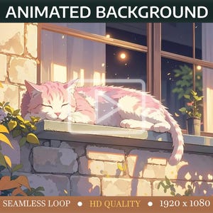 May include: A pink and white cat sleeps on a windowsill with a brick wall behind it. The cat is curled up with its eyes closed. The window is open and there is a view of a garden outside. The text "ANIMATED BACKGROUND" is at the top of the image. The text "SEAMLESS LOOP", "HD QUALITY", and "1920 x 1080" is at the bottom of the image.