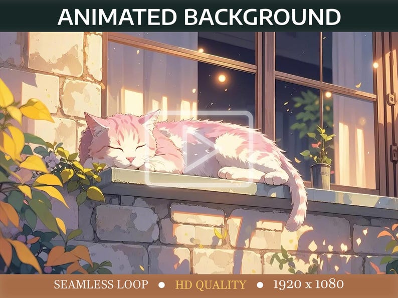 Cozy Cat Animated Background on Window Ledge, Lively Desktop Background ...
